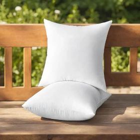 Throw Pillows (Option: 20x20 2pack)