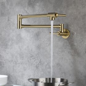 Wall Mounted Boiler Water Faucet (Option: Brushed Gold)